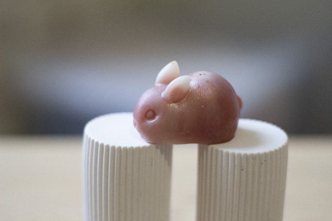 Lapin