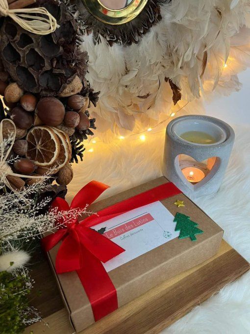 Coffret de fondants de Noel - Soy n'wax